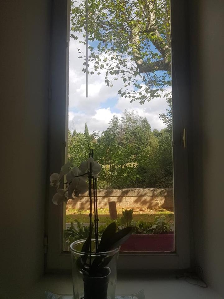 Petit Loft Face Riviere Daire Collobrières Dış mekan fotoğraf